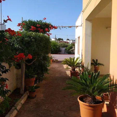 Vacanza Conte * סאלבה
